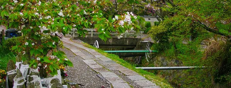 Le chemin de la philosophie à Kyoto est un endroit remplie de beauté et de sérénité.