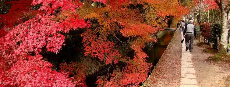 The blush of autumn leaves gives all its magical path of philosophy Kyoto.