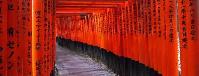 Les enfilades de torii (portiques sacrés) du sanctuaire Fushimi Inari à Kyoto