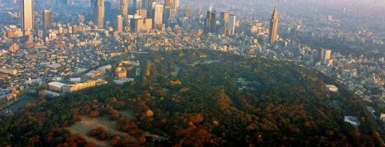 Avec ses 70 hectares, le parc Yoyogi est le poumon vert de Tokyo.