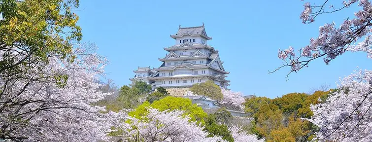 Le château de Himeji, le plus célèbre du Japon.