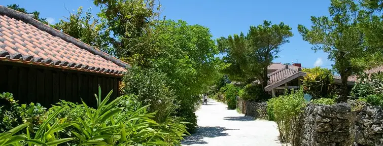 Traditional houses on the island of Taketomi