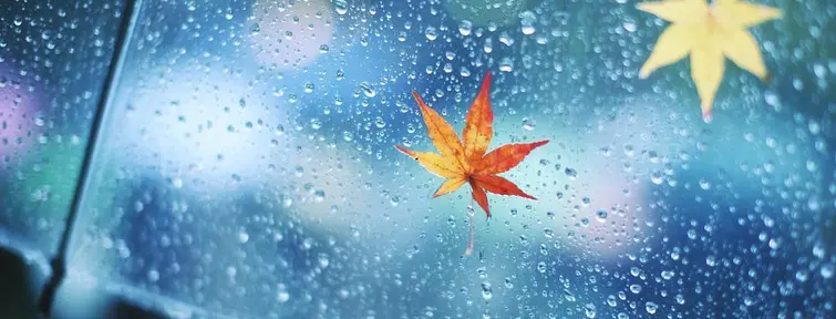 No olvides tu paraguas.