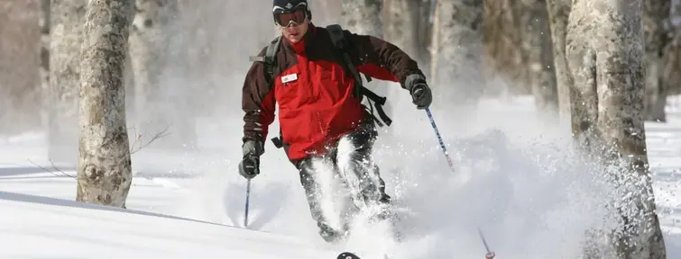La région de Niigata comprend aussi plusieurs stations de ski La région de Niigata comprend aussi plusieurs stations de ski