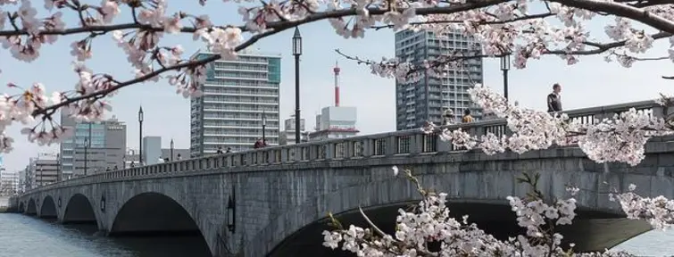 Le pont Bandai au moment des cerisiers en fleurs Le pont Bandai au moment des cerisiers en fleurs