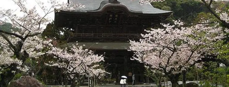 Kencho-ji, Kamakura