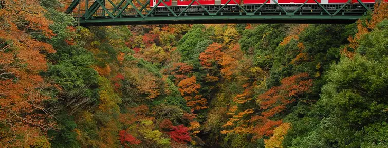 Le train de la ligne Hakone Tozan est accessible avec l'Hakone Free Pass