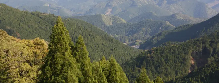 La vue de la vallée du sanctuaire Hongu Taisha depuis Fushiogami-oji