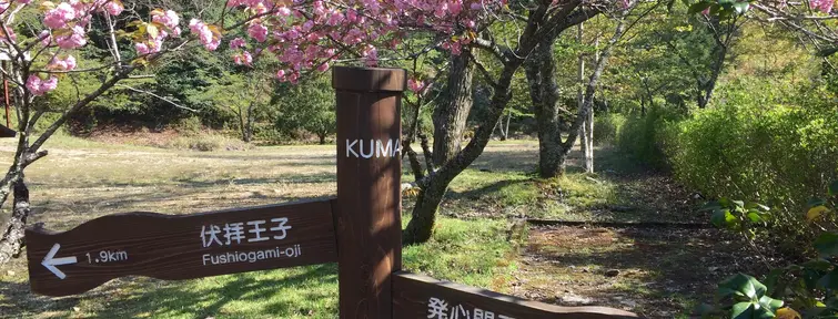 Les chemins de Kumano Kodo sont bien fléchés