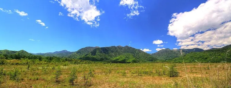 Les marais de Senjôgahara