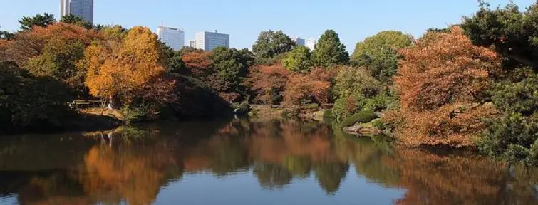 Shinjuku Gyoen