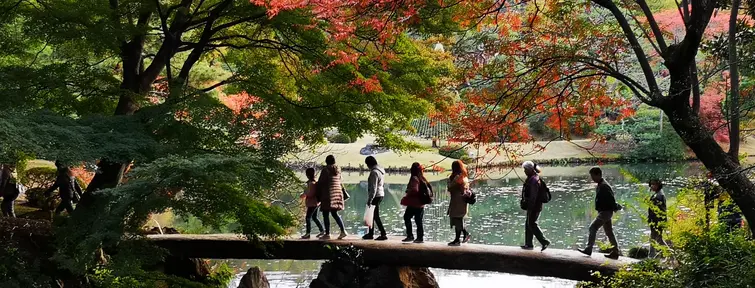 Rikugien sous les koyo