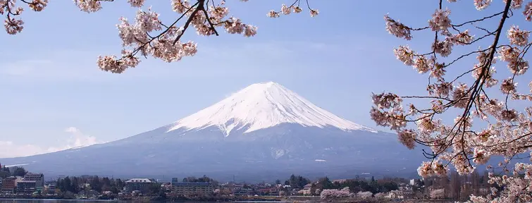 Lake Kawaguchiko Sakura Mont Fuji