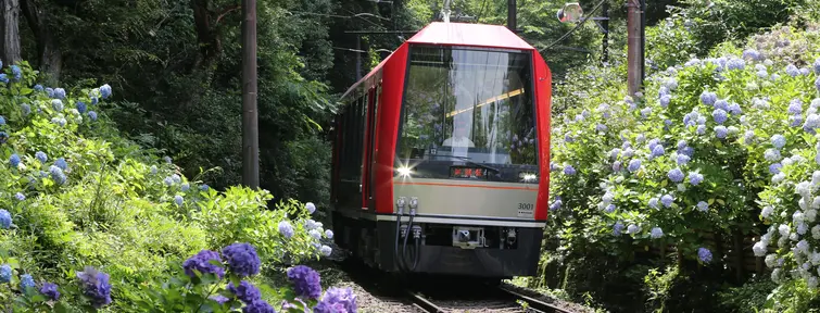 train de la Ligne Hakone Tozan train de la Ligne Hakone Tozan