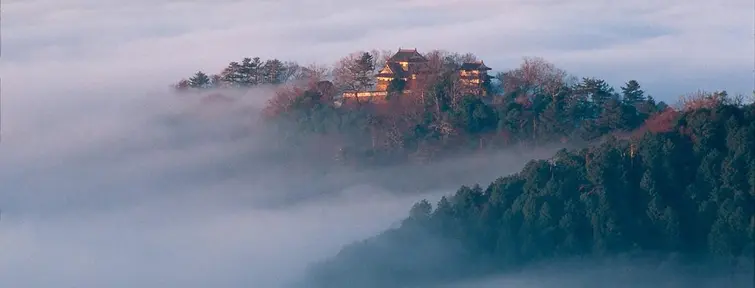 Le château de Matsuyama Le château de Matsuyama