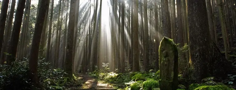 Kumano Ancient Road Nakahechi-route