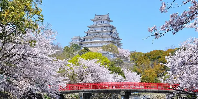 Le château de Himeji, le plus célèbre du Japon.