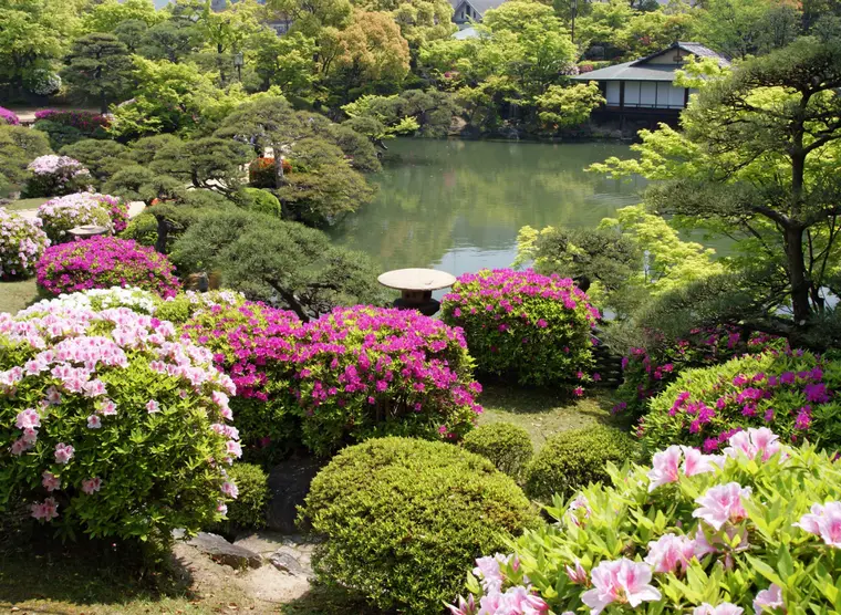 Sorakuen Garden