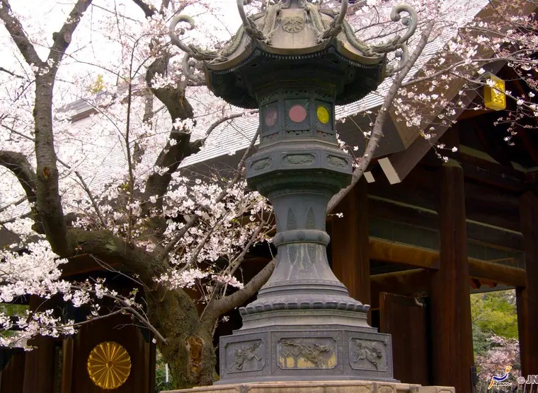 yasukuni NAGANUMA yasukuni NAGANUMA A Lesson In Perspective At Yasukuni Shrine
