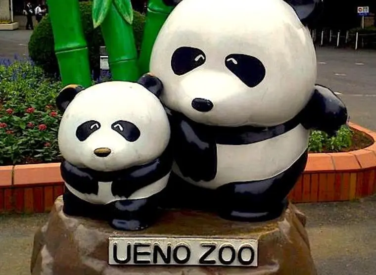 Ueno Zoo | Japan Experience