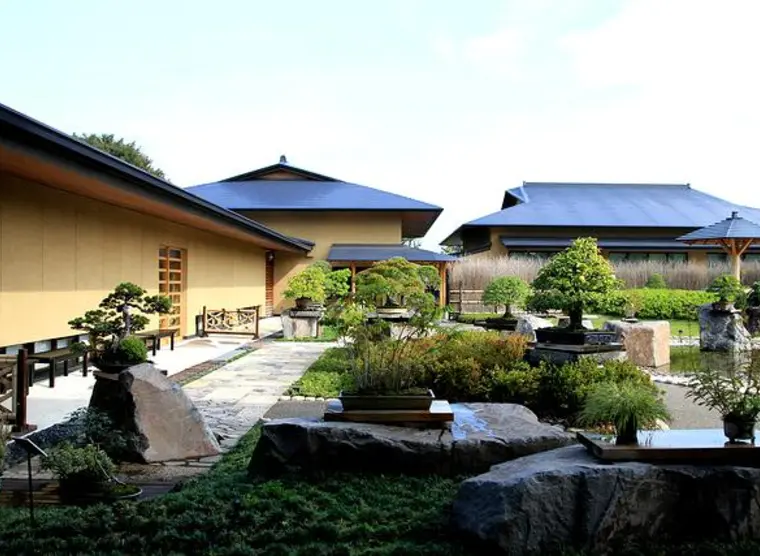 The passion for bonsai in Tokyo: between shops and museums | Japan  Experience