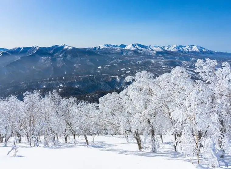Les plus beaux paysages japonais sous la neige | Japan Experience