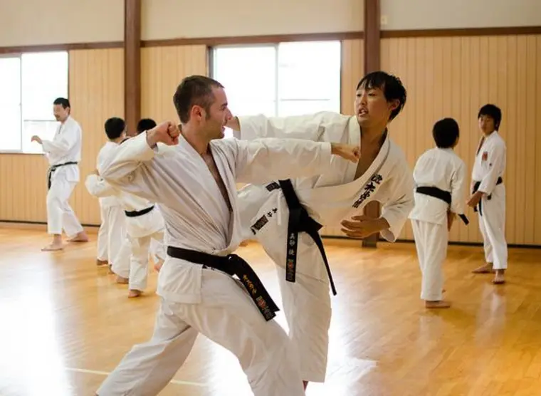Japanese martial arts | Japan Experience
