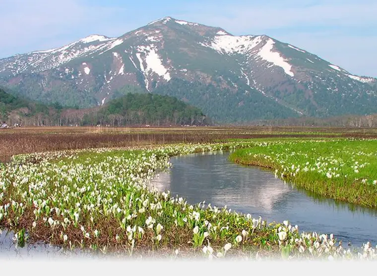 Oze Park | Japan Experience