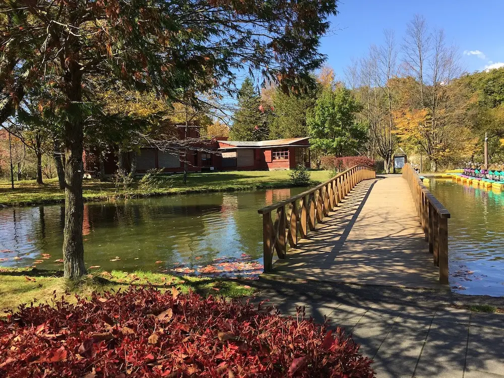 Bridge over the lake to wooden buidlings with a tree in the foreground. 
