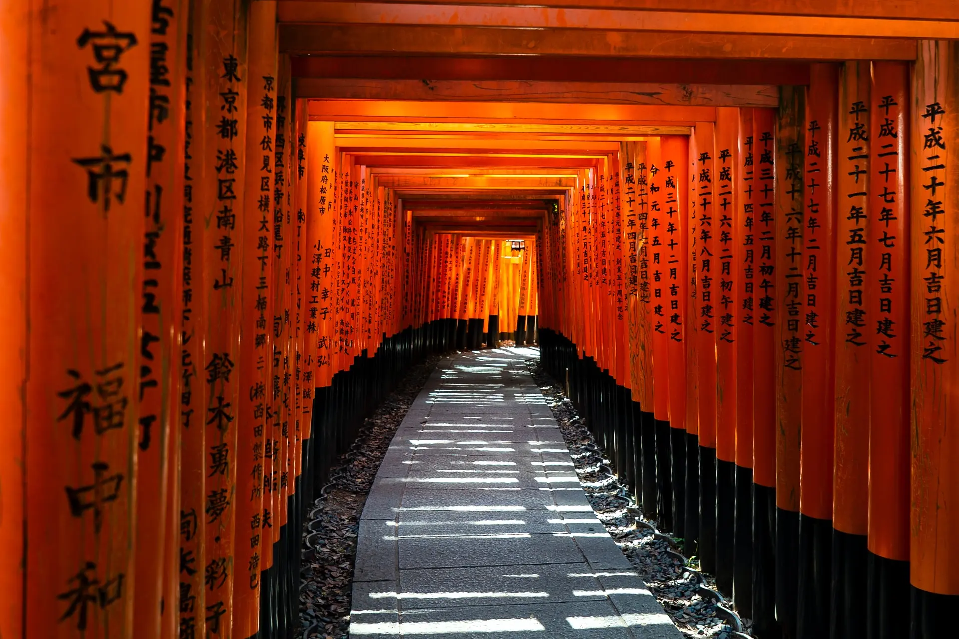 Torii tunnel of Fushimi Inari, Kyoto Torii tunnel of Fushimi Inari, Kyoto