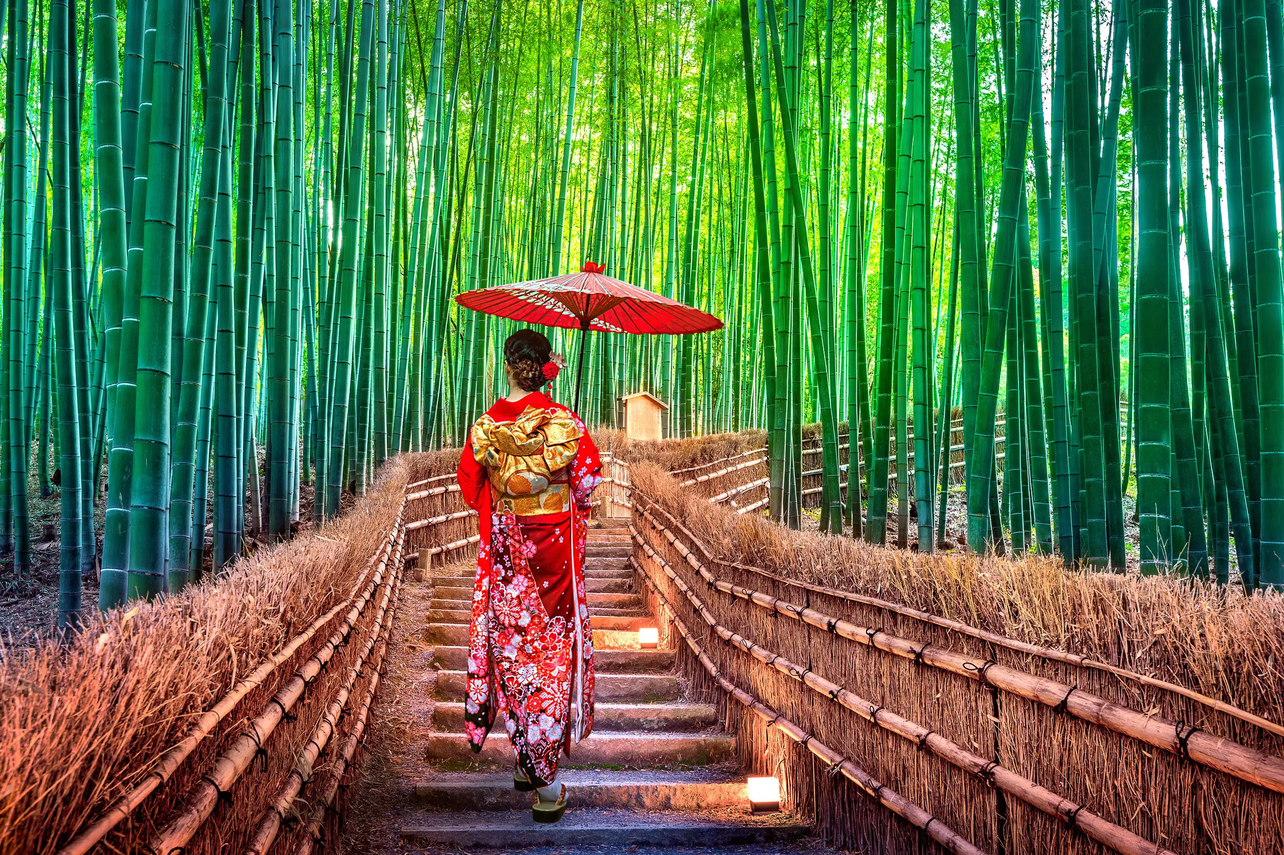 Bosque de bambú en Arashiyama: famoso sitio turístico para visitar en Kioto