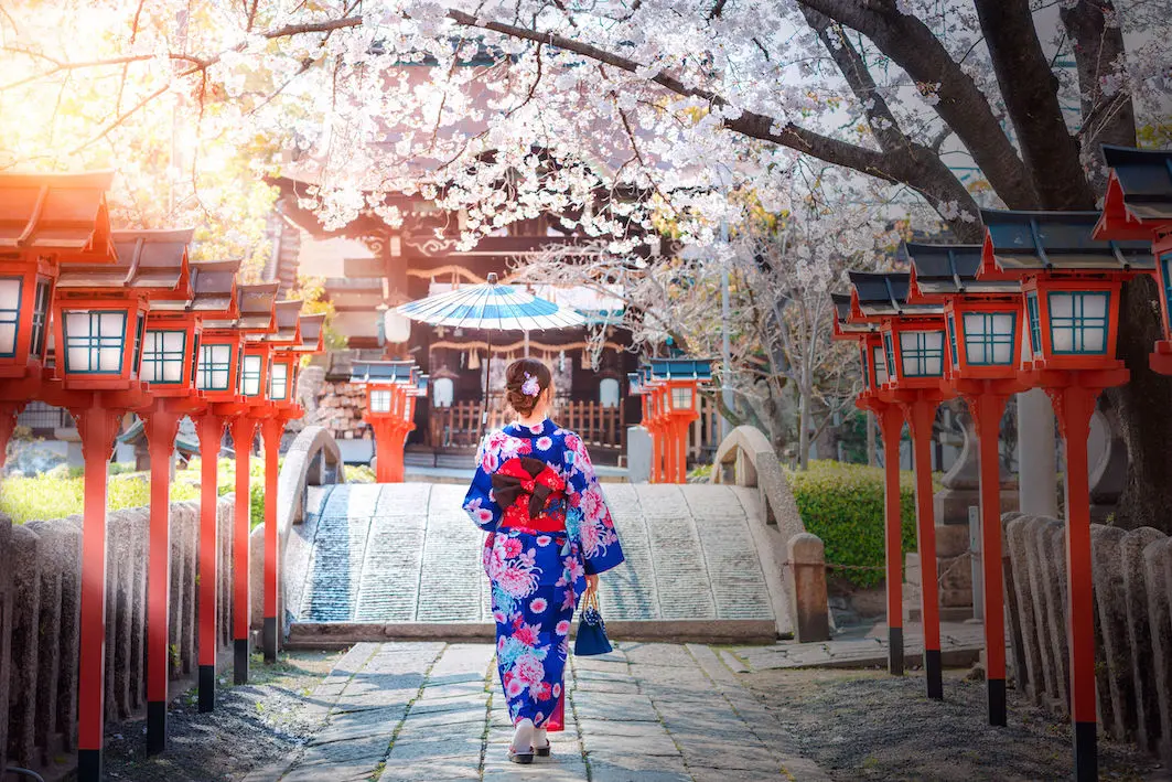 Japanerin unter Kirschblüte (Sakura) in einem Kyoto-Schrein