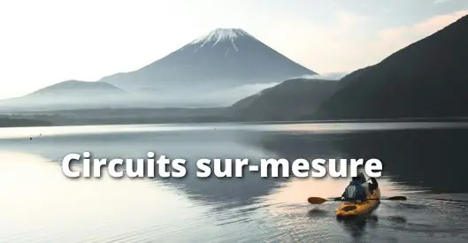 Circuits sur mesure