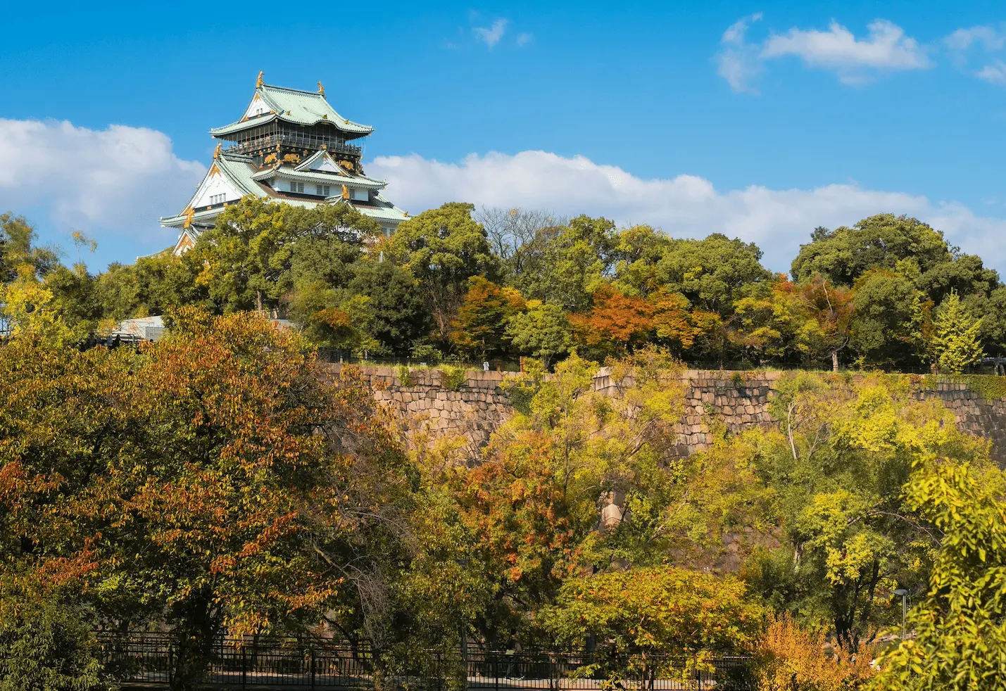 Osaka castle momiji - Osaka