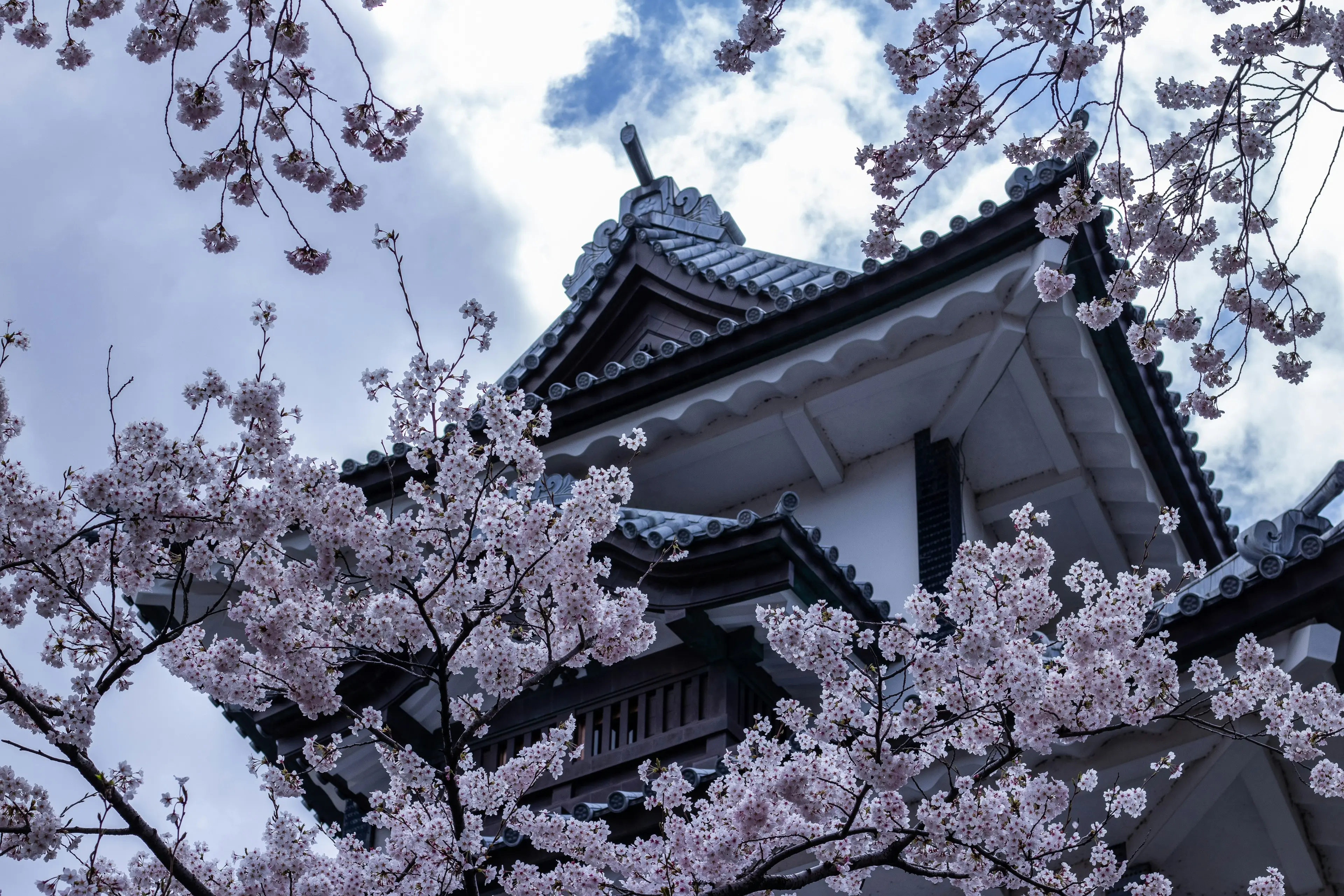 Kanazawa sous les cerisiers Kanazawa sous les cerisiers